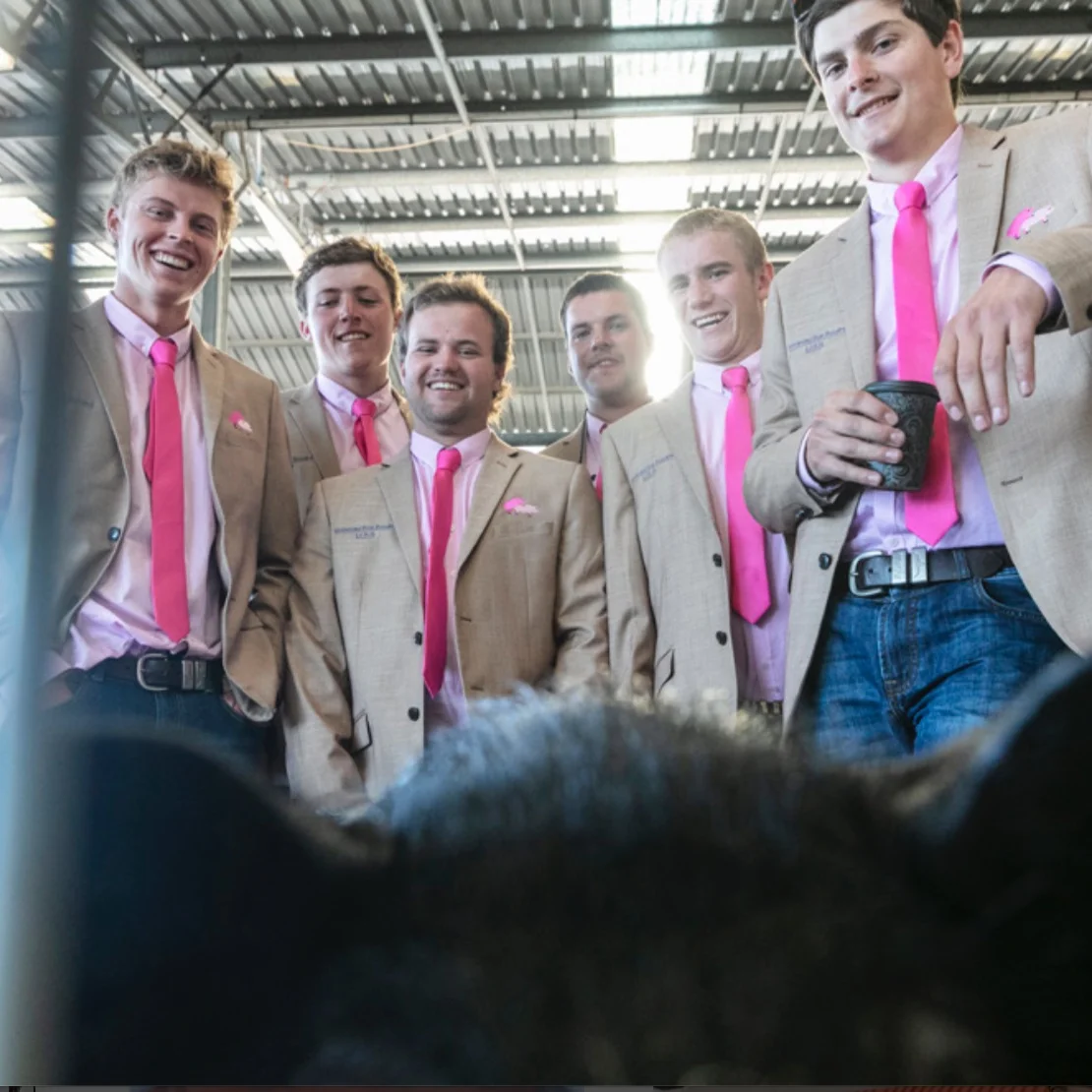 WHERE SUAVE SWINE SHINE