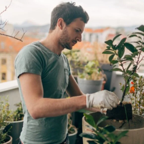 CREATE SPACE FOR PLANTS