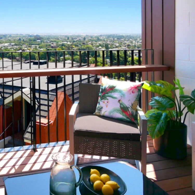 APPRECIATING THE VIEW 