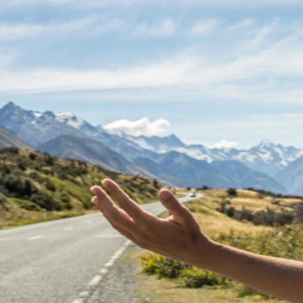 HERE'S TO THE STAYCATION