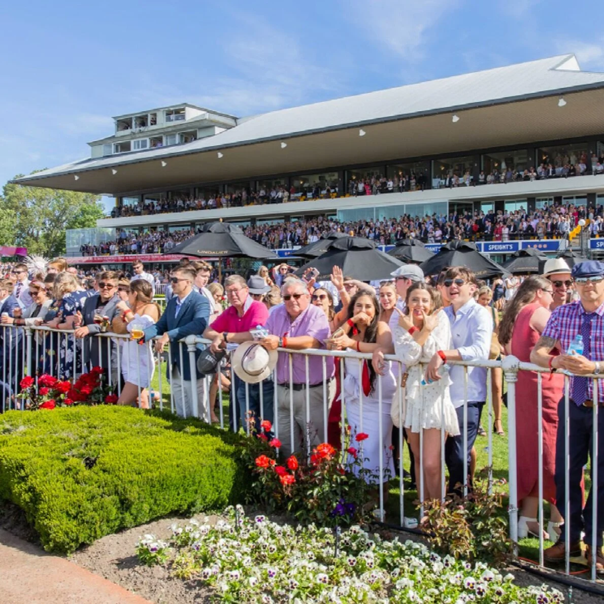 CHRISTCHURCH IN BLOOM