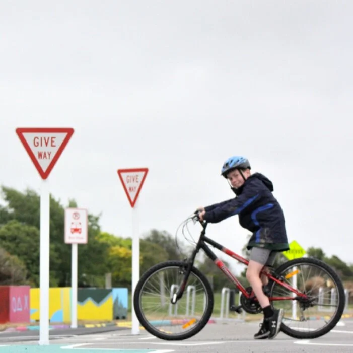 GET ROAD WISE IN THE RED ZONE