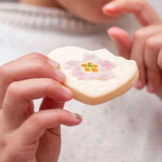 FESTIVE FINAL COURSE