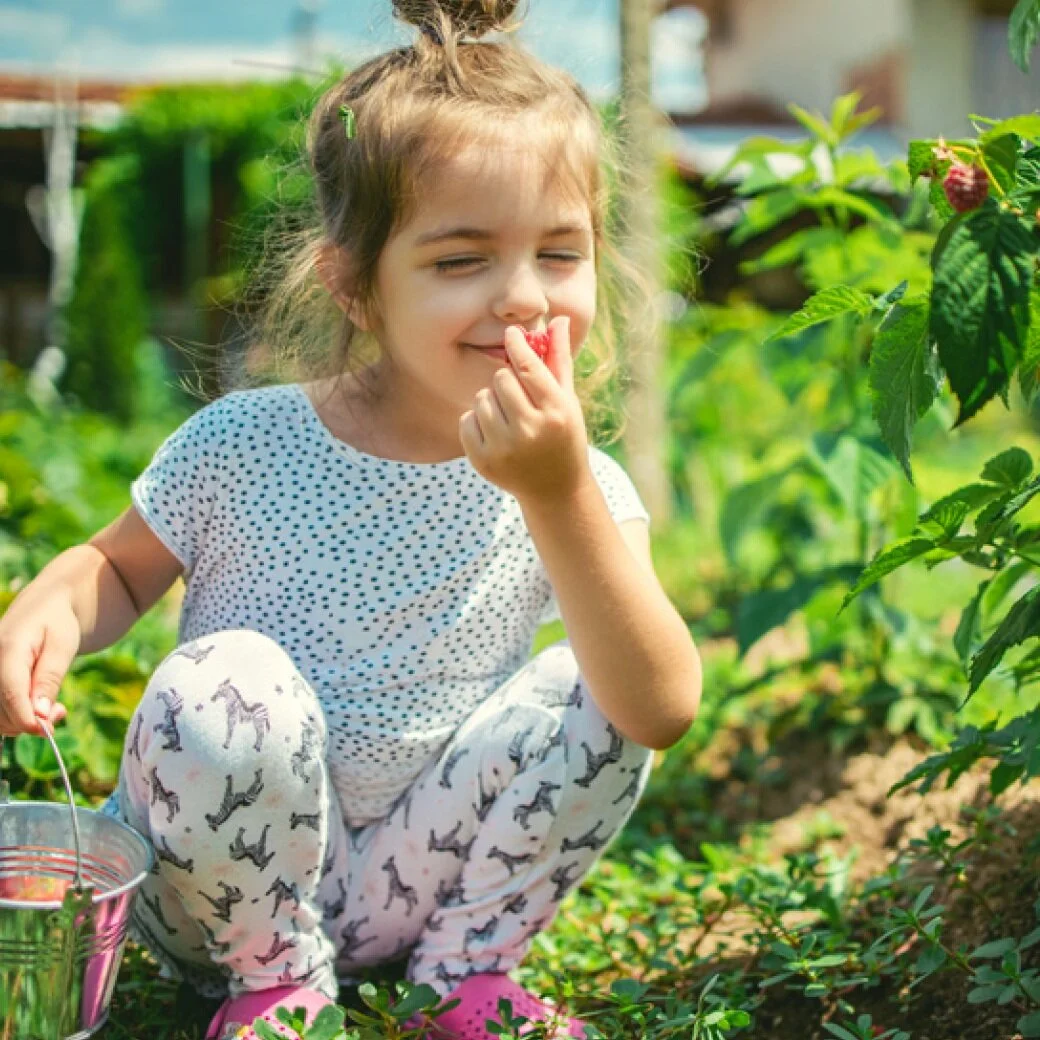 SAVOUR SELWYN THIS SUMMER