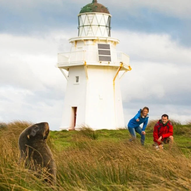 EXPLORE YOUR SOUTHERN BACKYARD