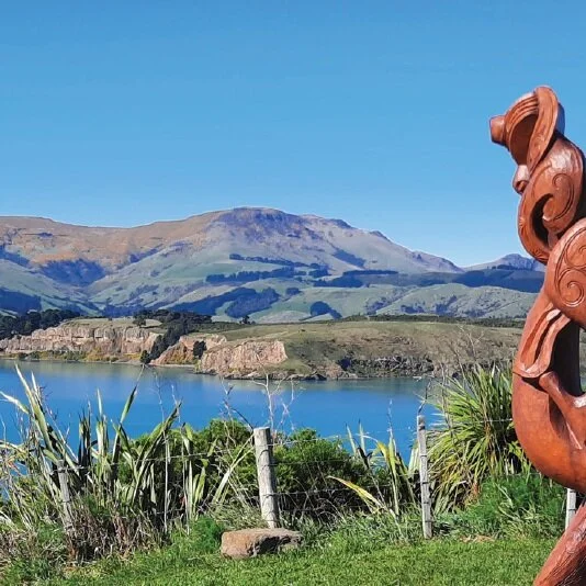 PROTECTING OUR ICONIC MAUNGA 