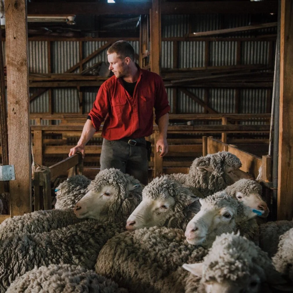 &nbsp;TRACEABLE, SUSTAINABLE, NATURAL, DESIRABLE&nbsp;