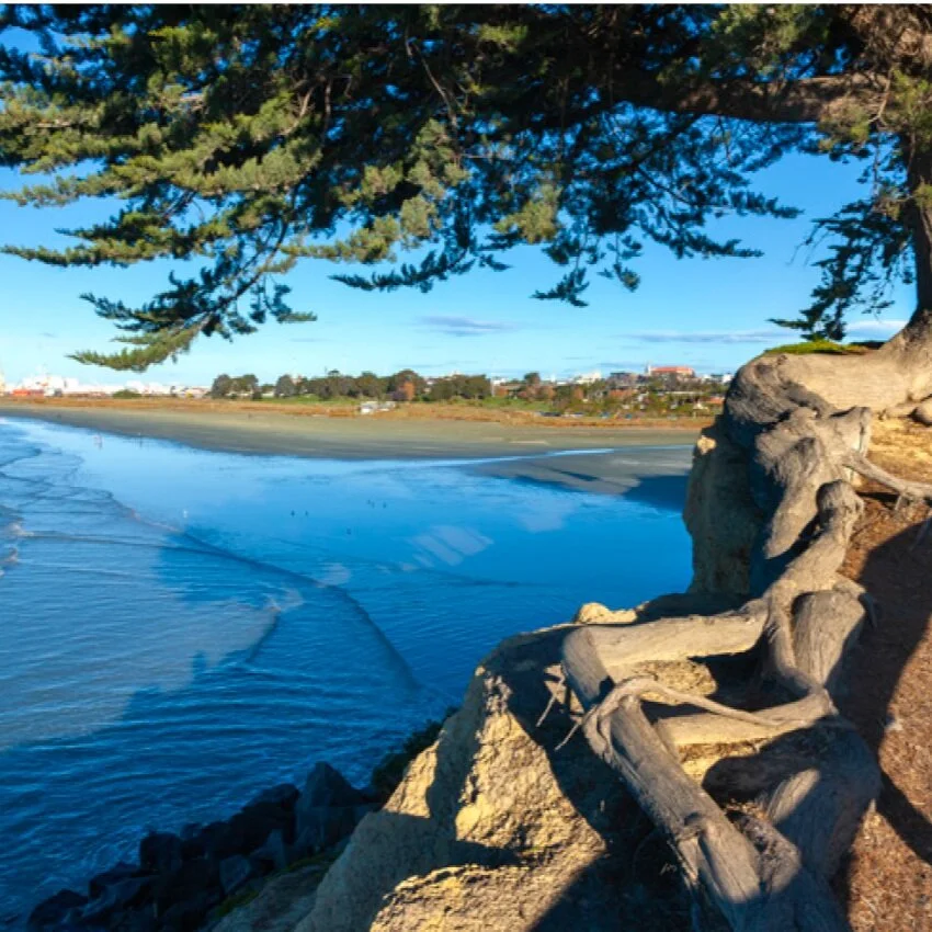 CAROLINE BAY IS CALLING