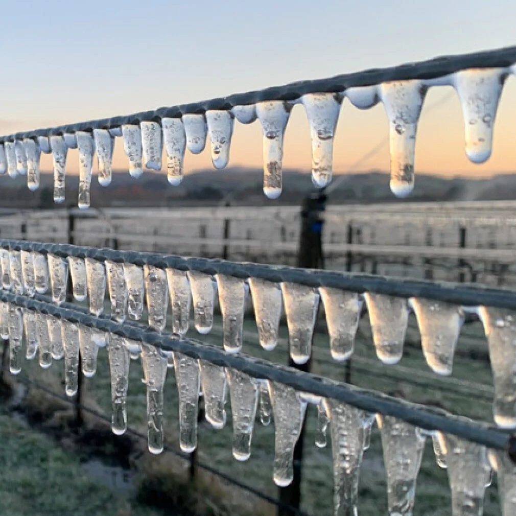 THE BATTLE OF SPRING