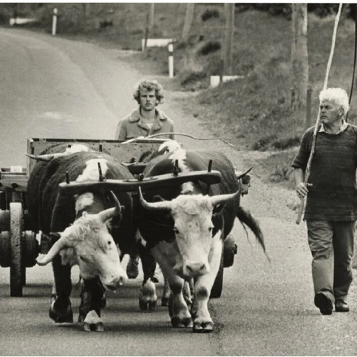 &nbsp;WAVES AND CURIOUS STARES&nbsp;