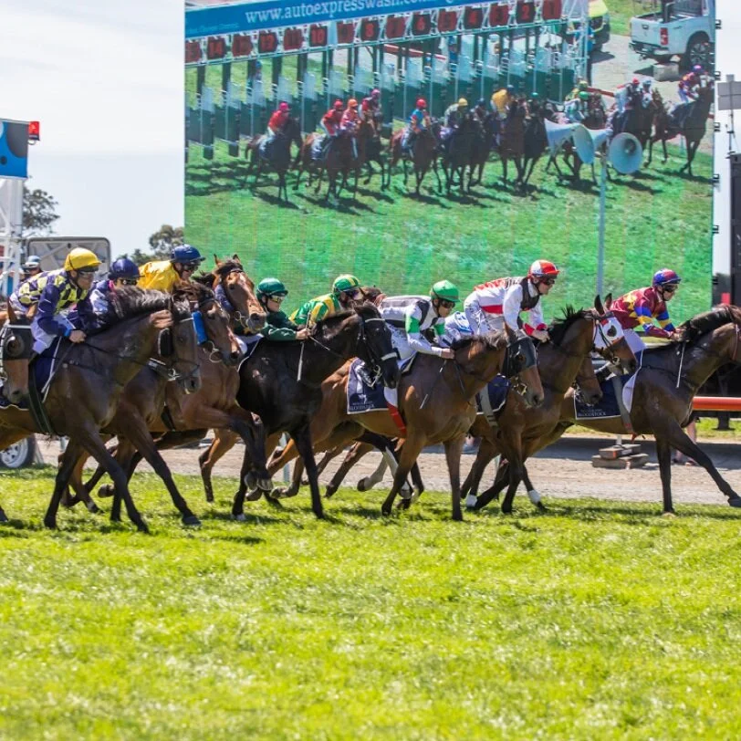 THE RENEWAL OF RICCARTON PARK 