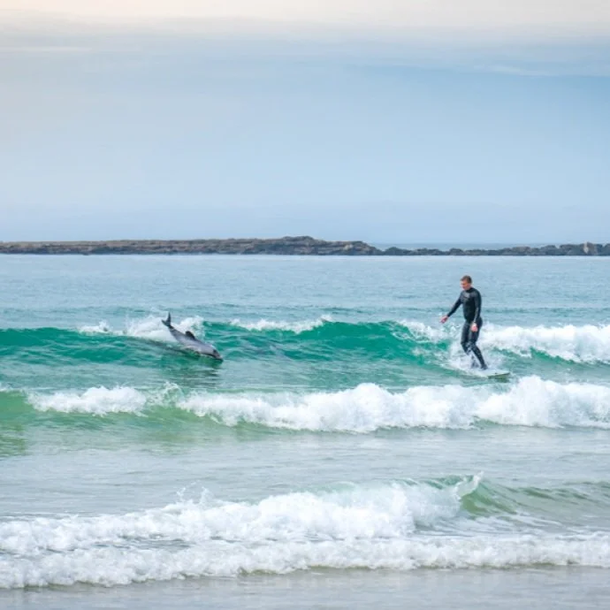 THE CAPTIVATING CATLINS