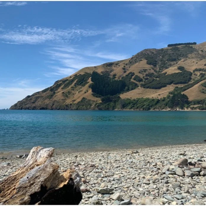 IS YOUR REFRIGERATOR RUNNING?