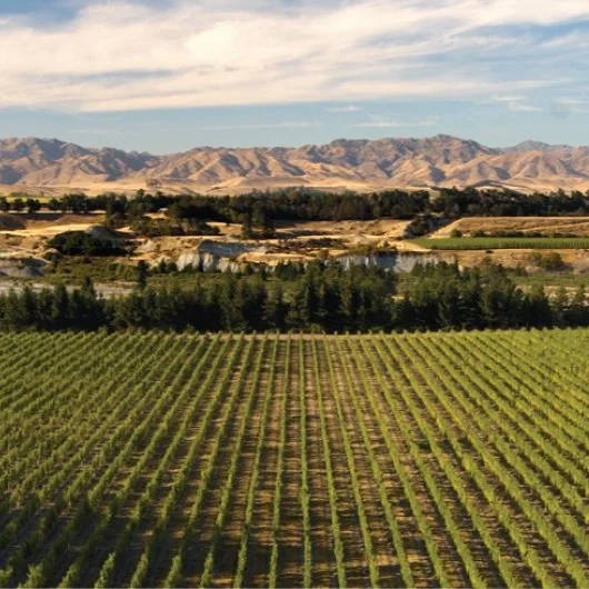 MEET ME IN MARLBOROUGH