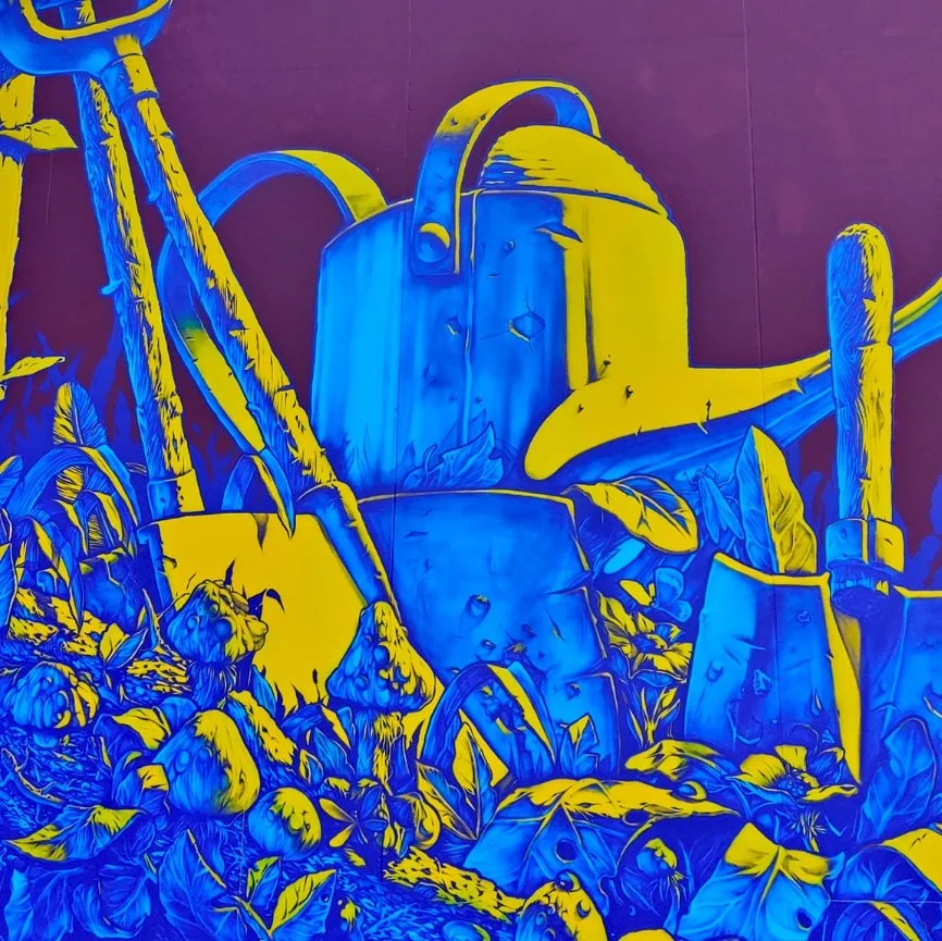 Watch This Space: Elliot Francis Stewart 