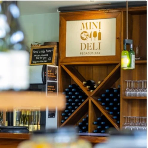 Your slice of paradise, reimagined