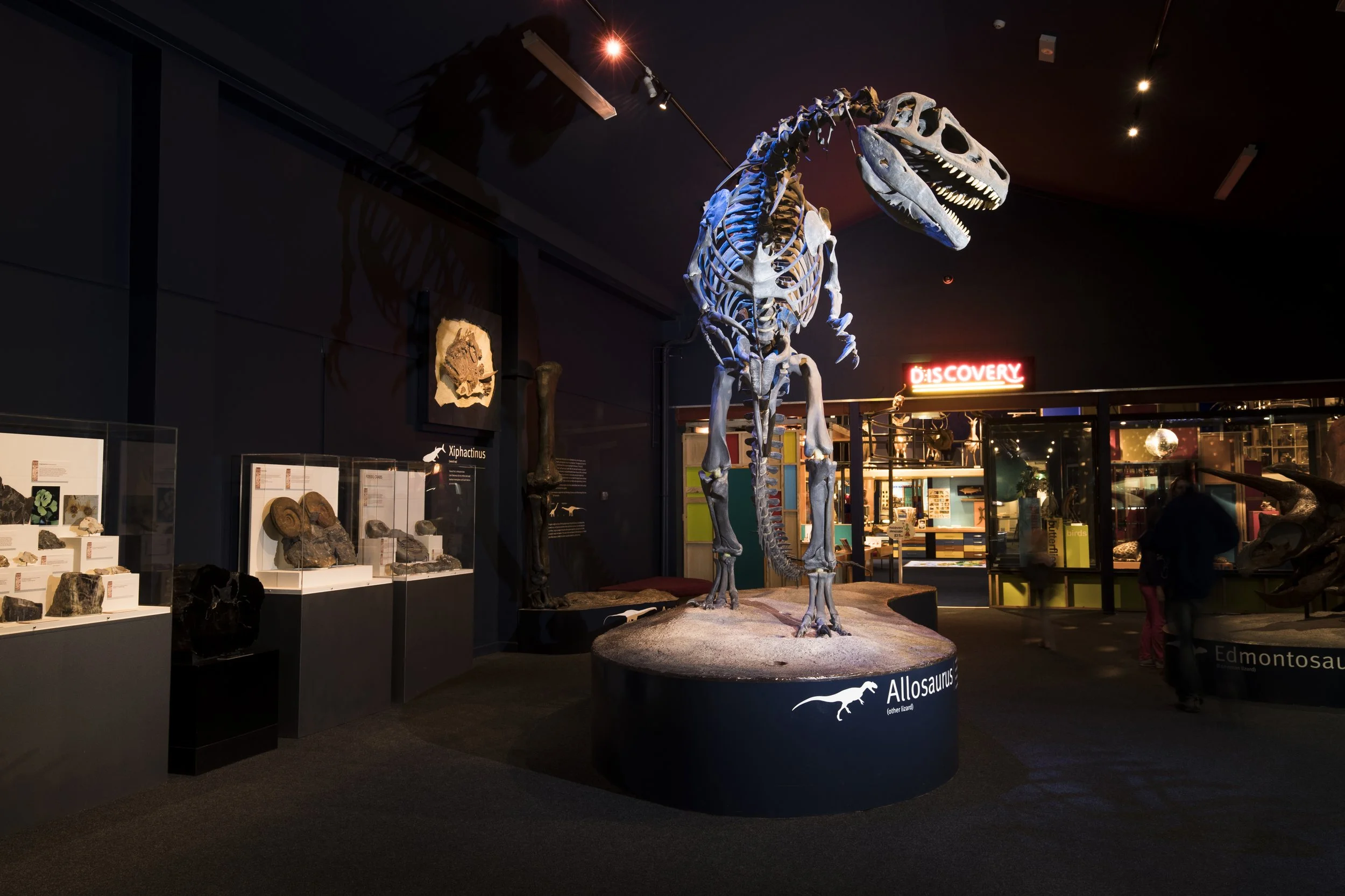 Farewell your museum favourites&nbsp;