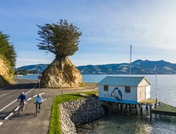 Unwind in the wilds of Dunedin