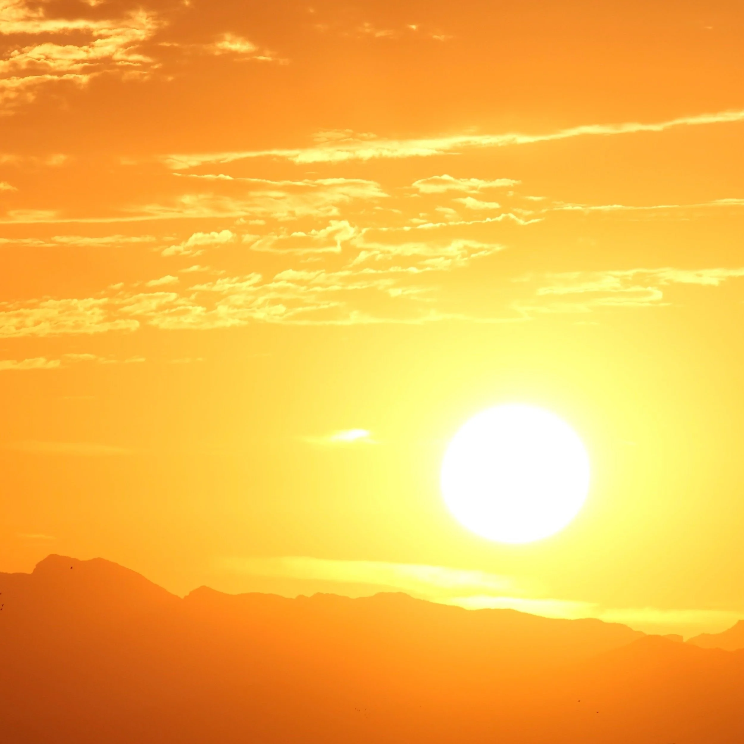 Tama nui te rā - balance in all things