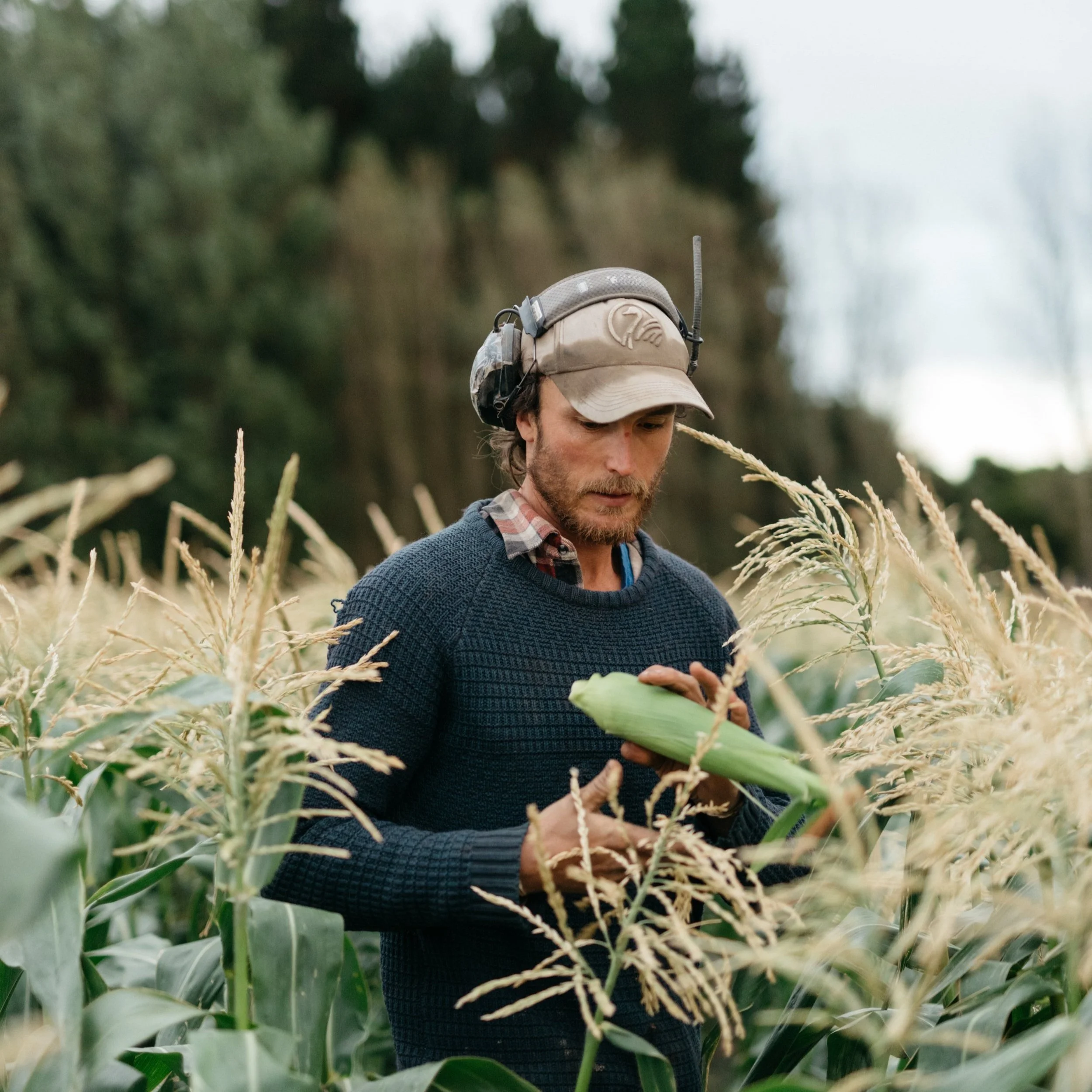 Growing for people