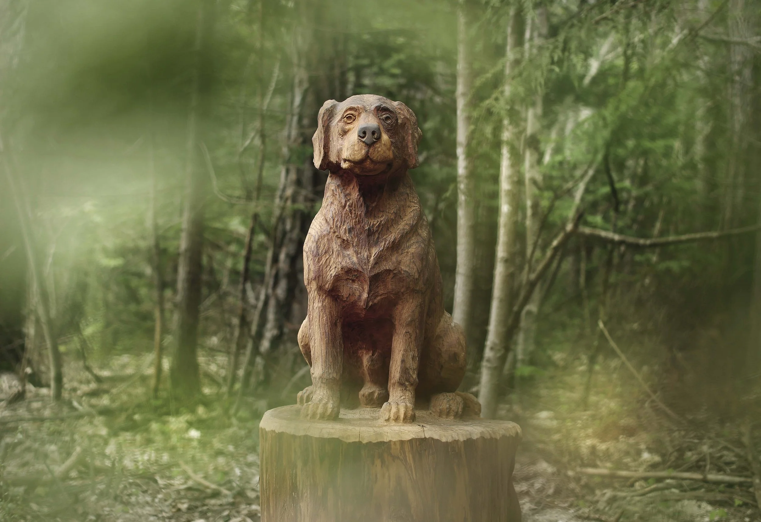 A weekend in Hurunui