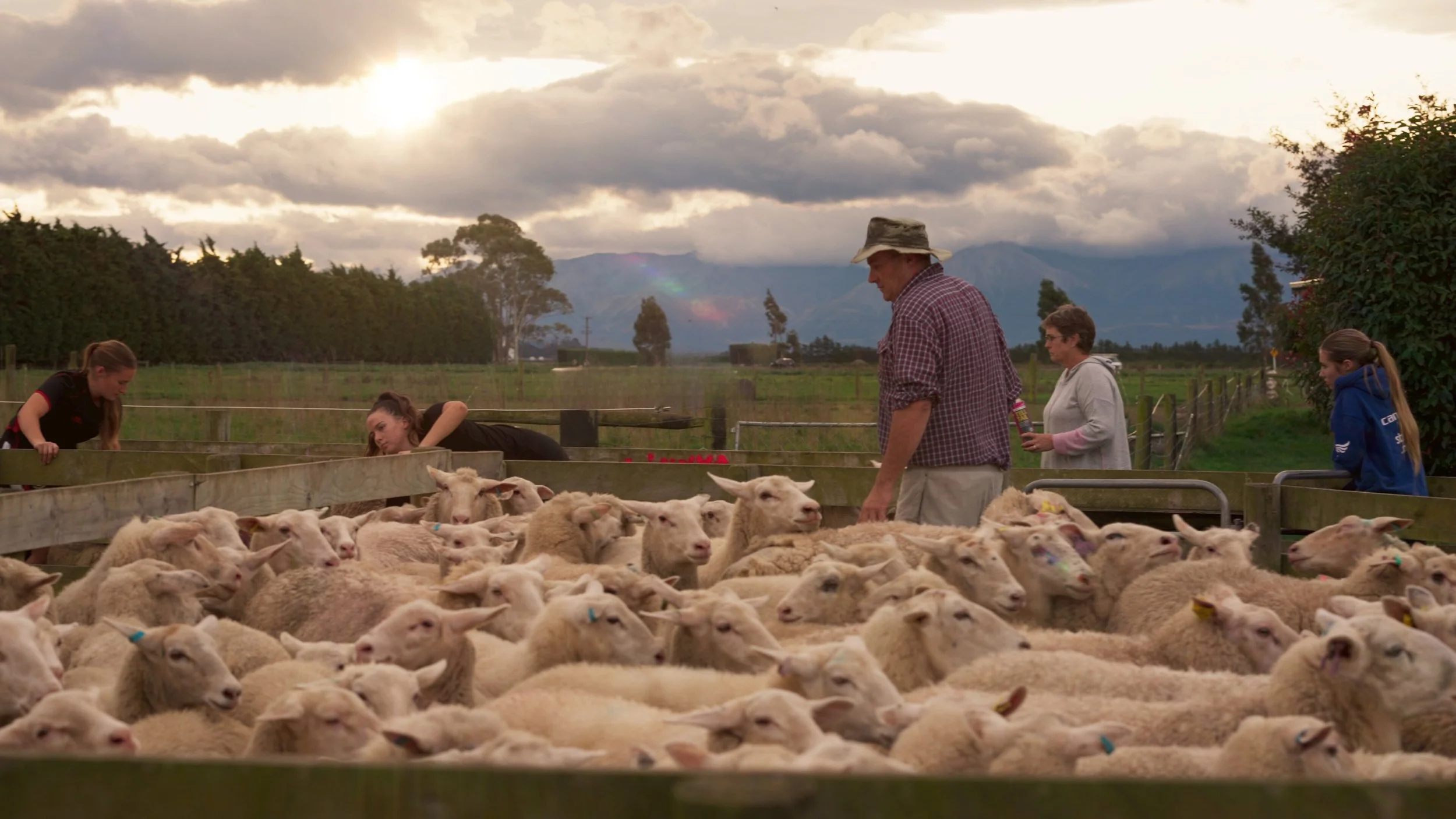 A natural alternative