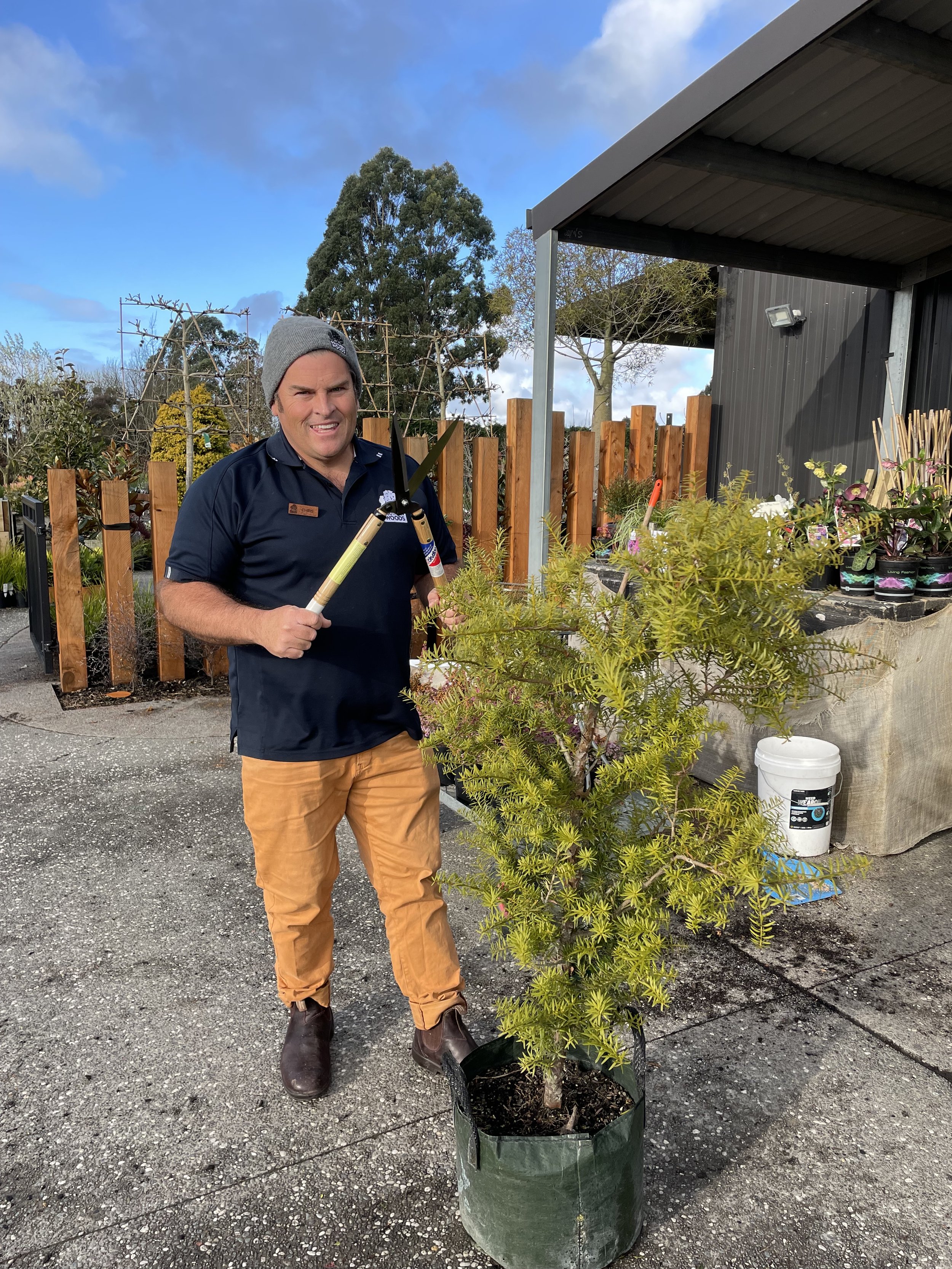 Season's jobs