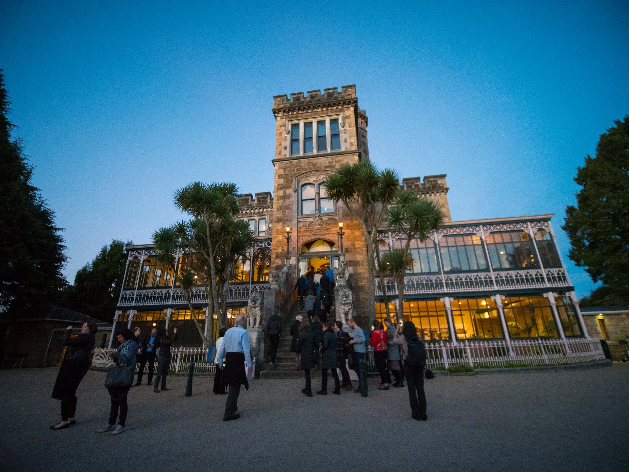 Dunedin’s wild side