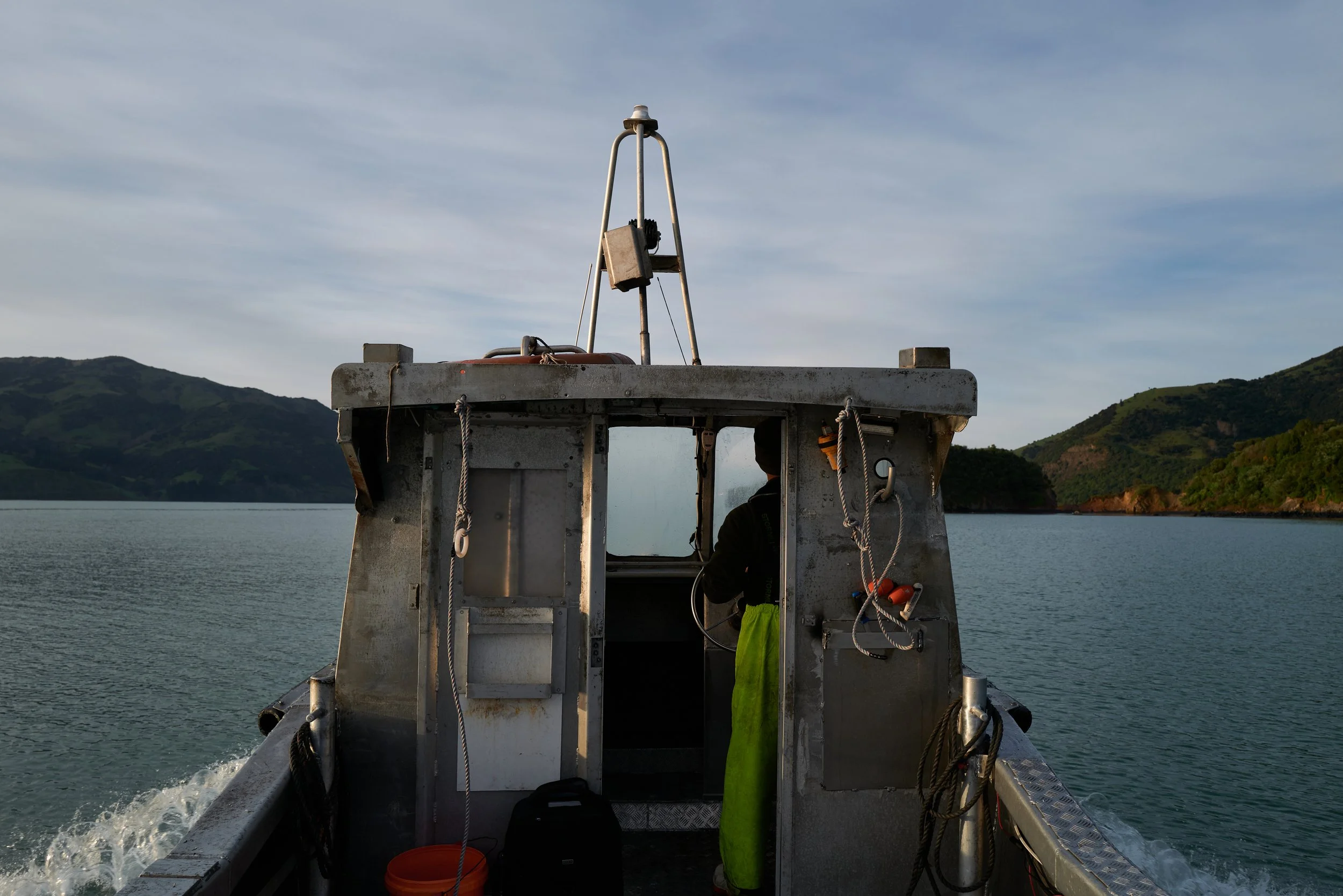 Welcome to the harbour