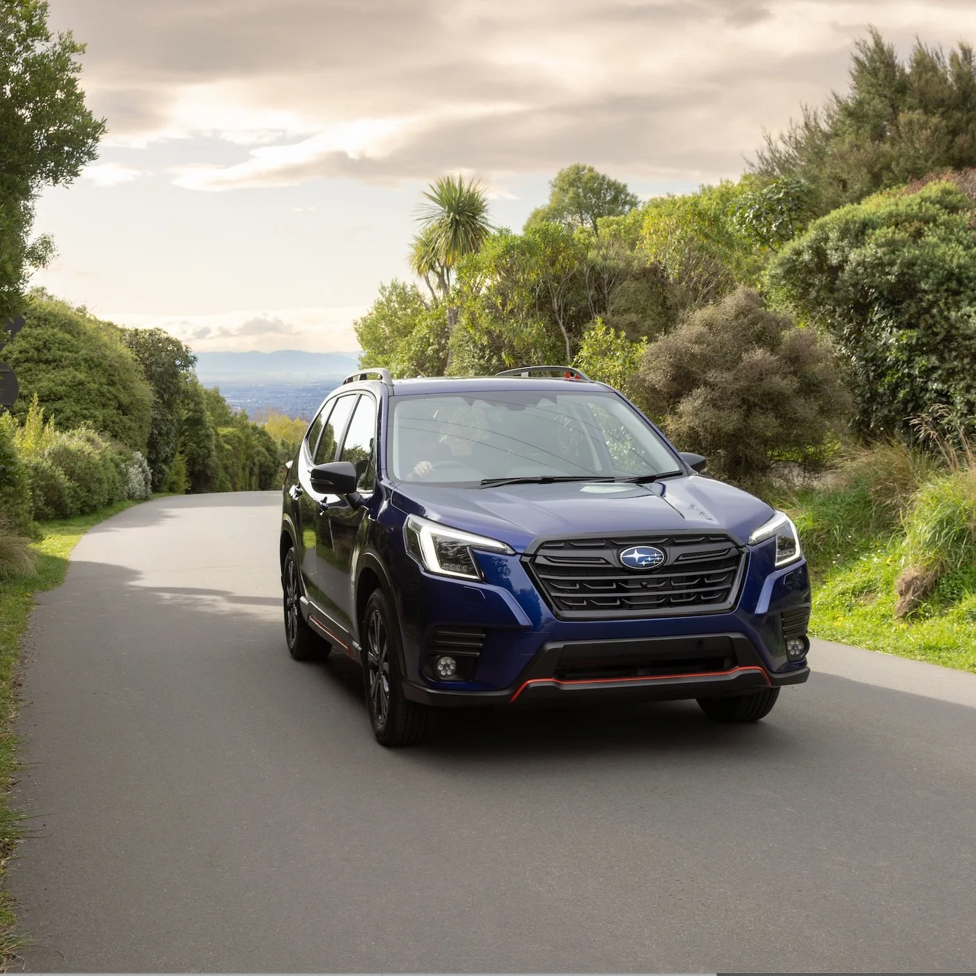 Coming round the mountain