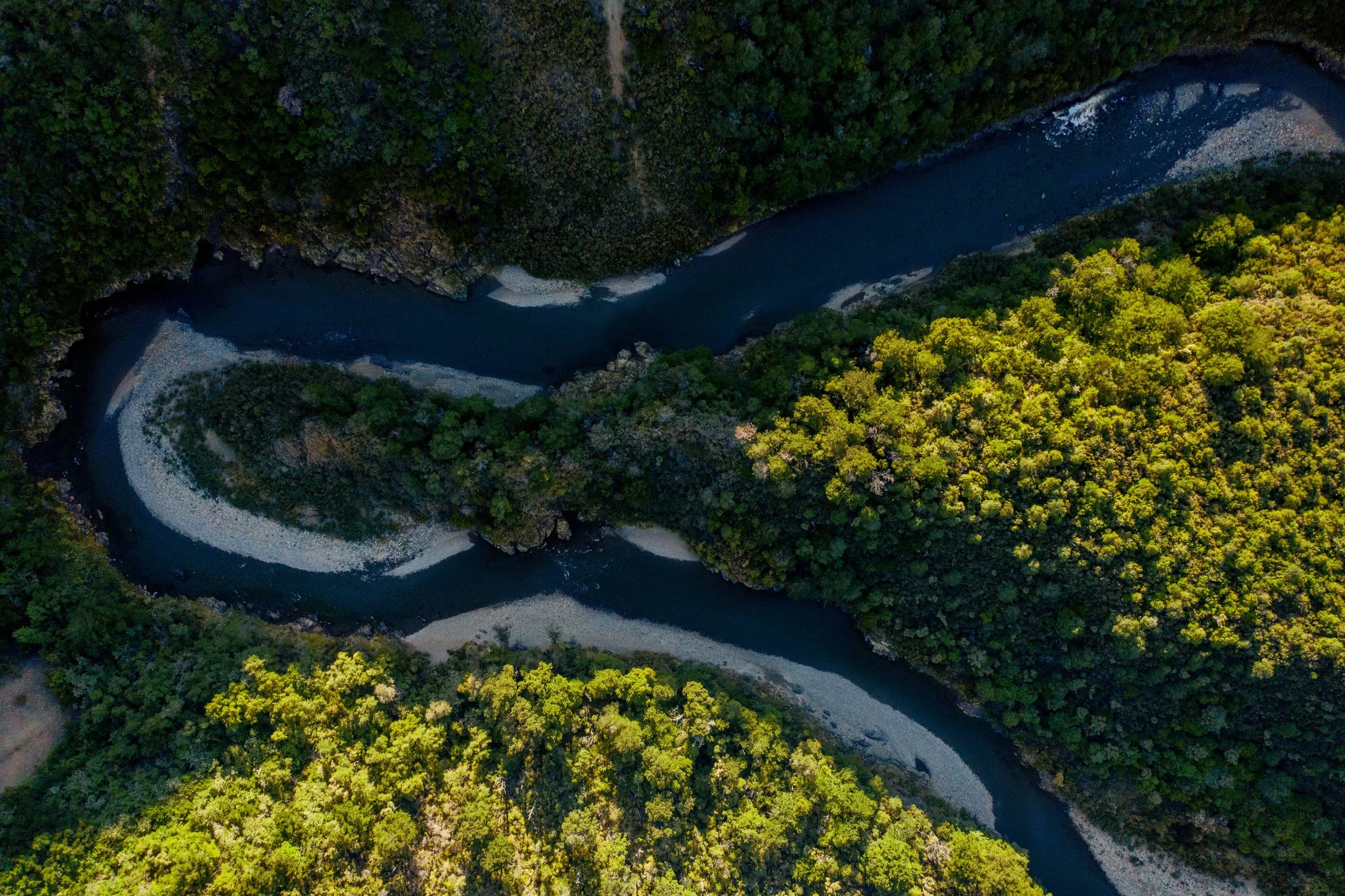 What's on in Waimakariri?