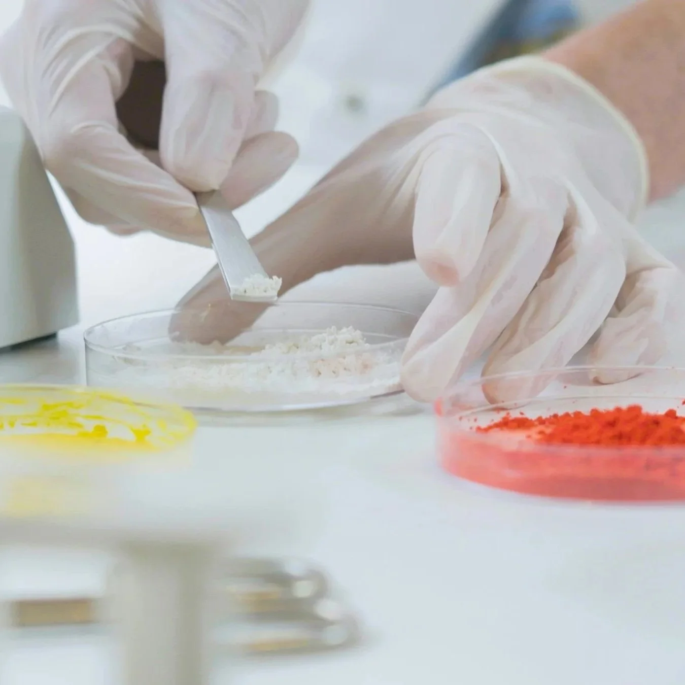 Writing's on the wool