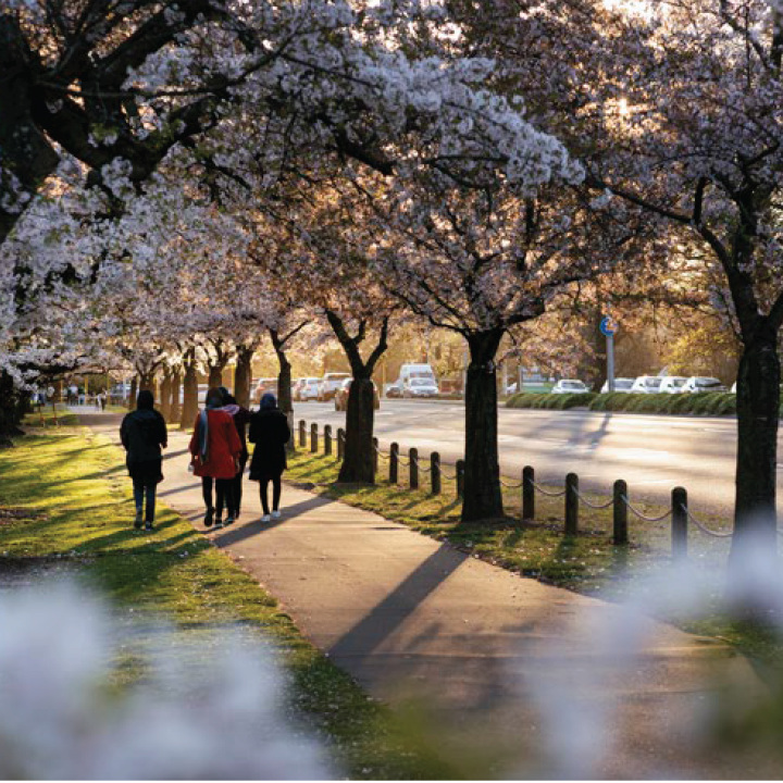 The season of garden city glory
