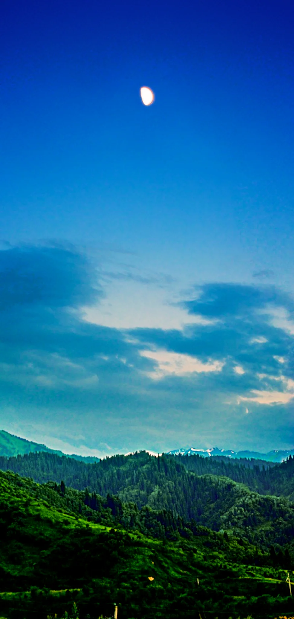 LPM_ArtLandscape_016.jpg
