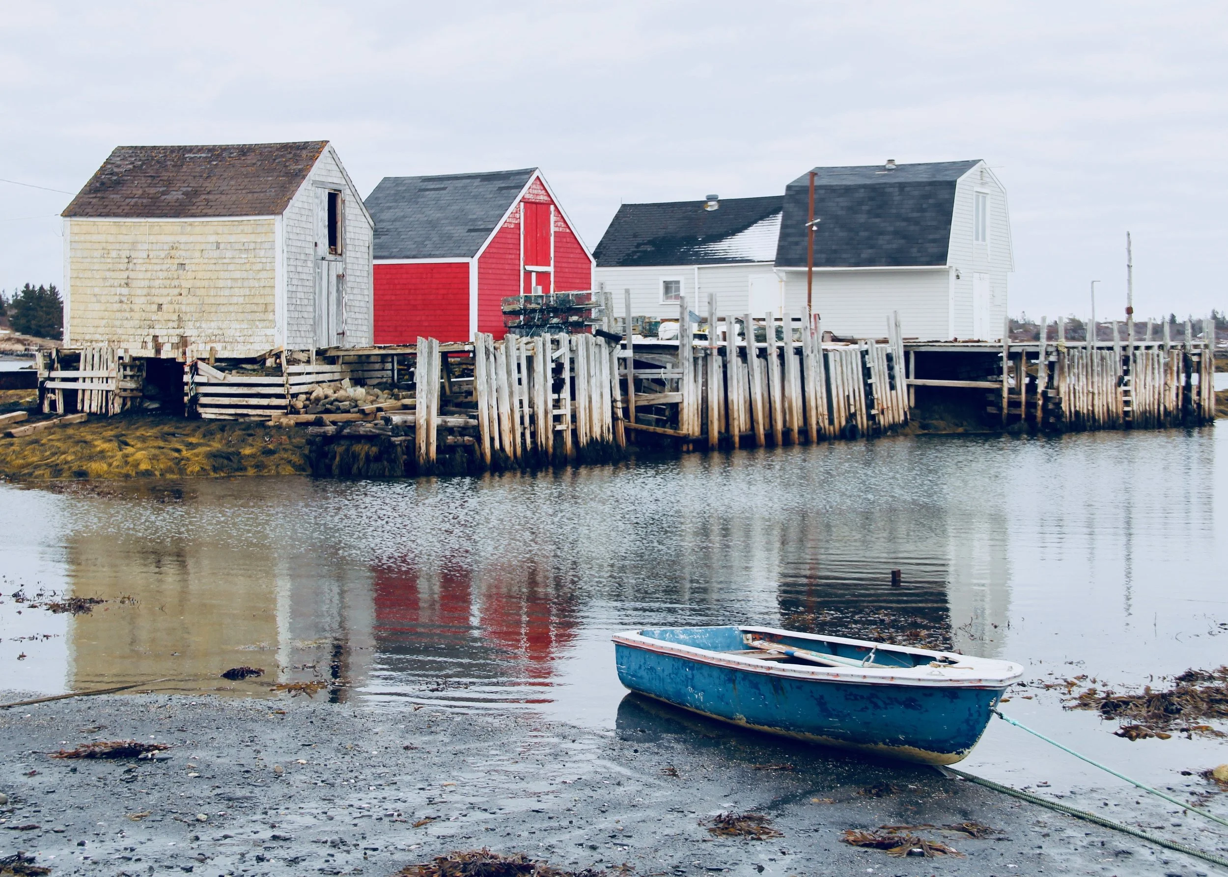 Blue Rocks