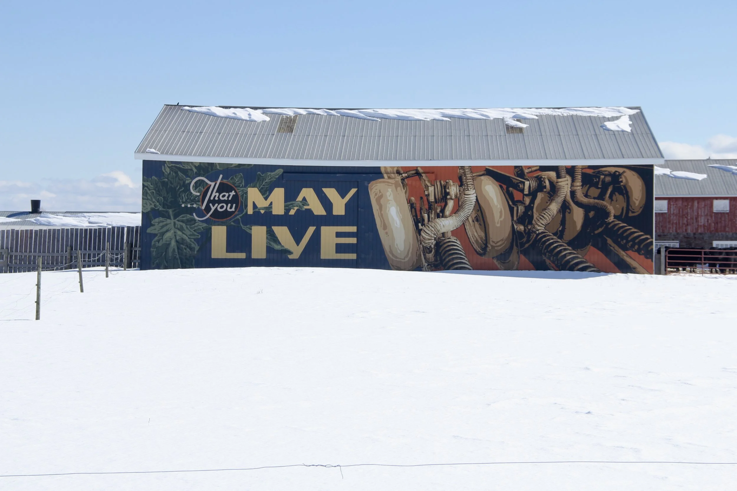 Uncommon Art in the Snow