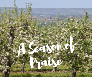 A Season of Praise.png