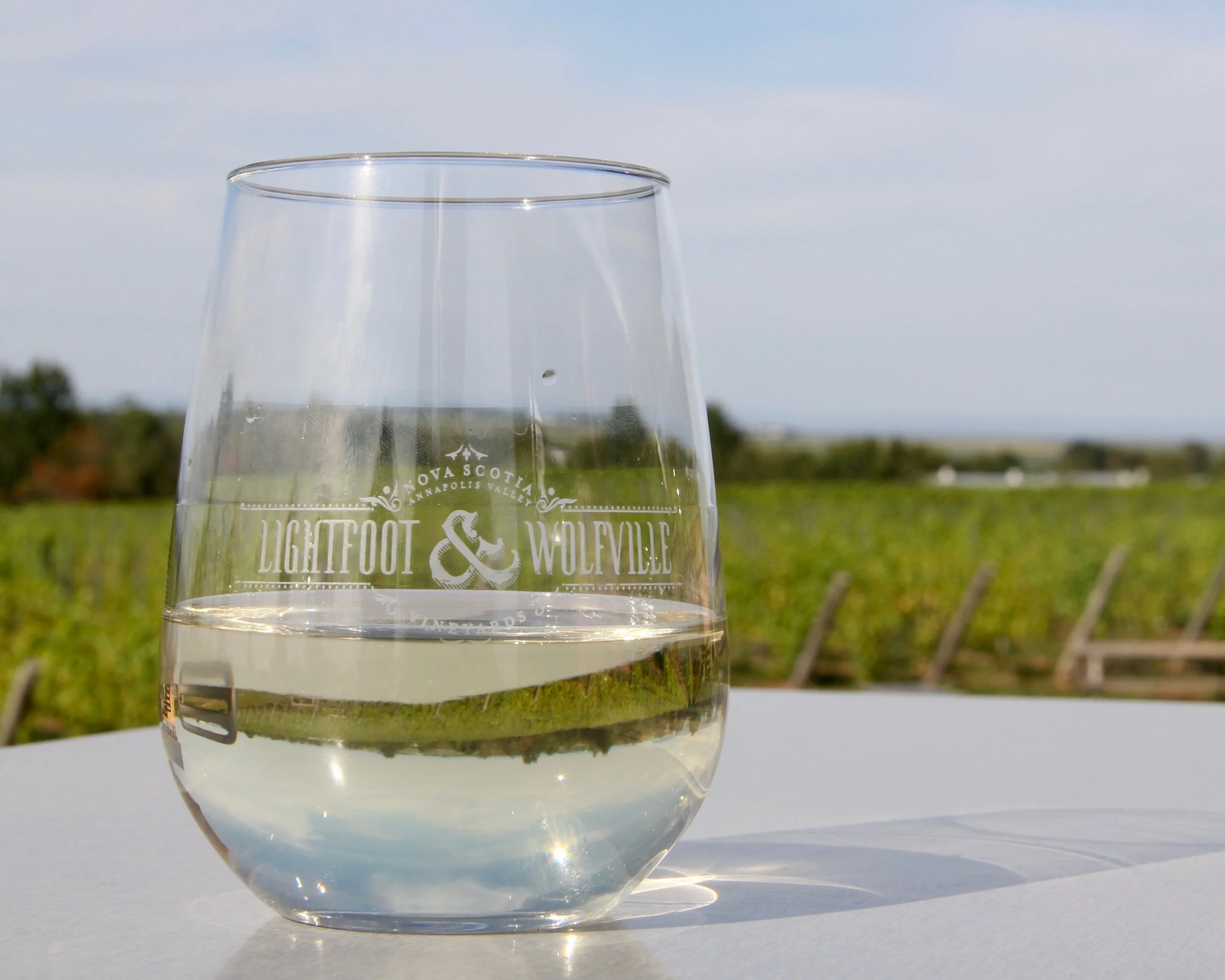 An Afternoon at the Vineyard