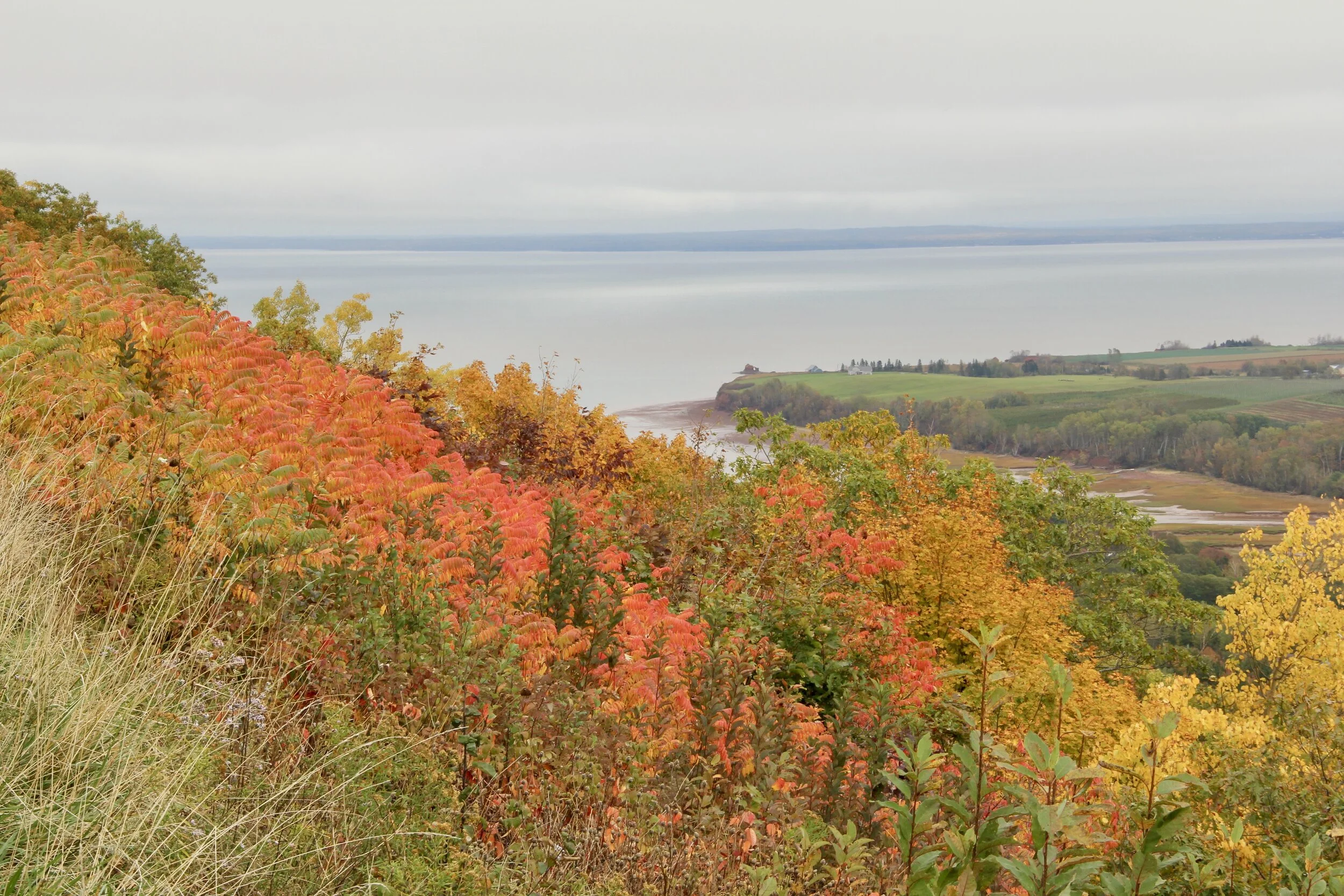 Autumn Coming to the Annapolis Valley