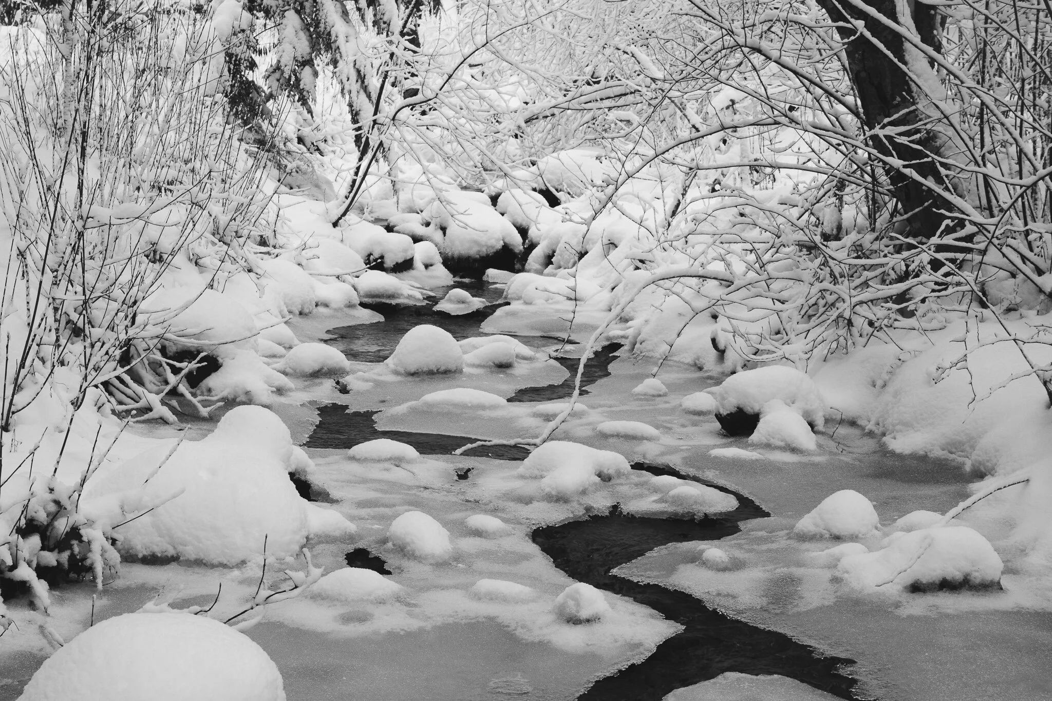 Winter stream
