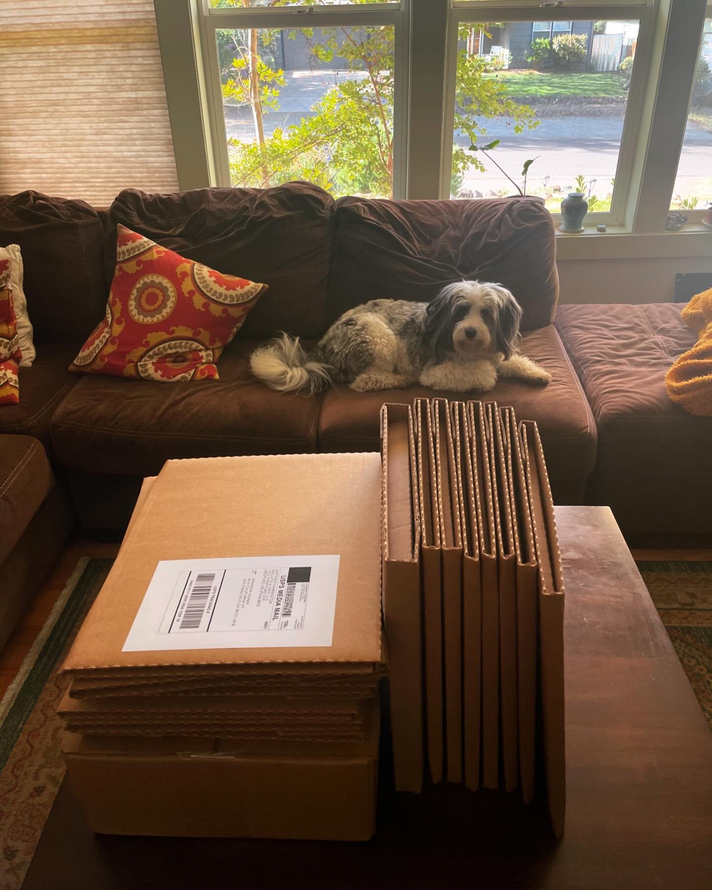 Busy morning at B&amp;V International Headquarters (aka the house). Lots of RSD exclusives packed up and ready to ship out!

#supportyourlocalrecordstore