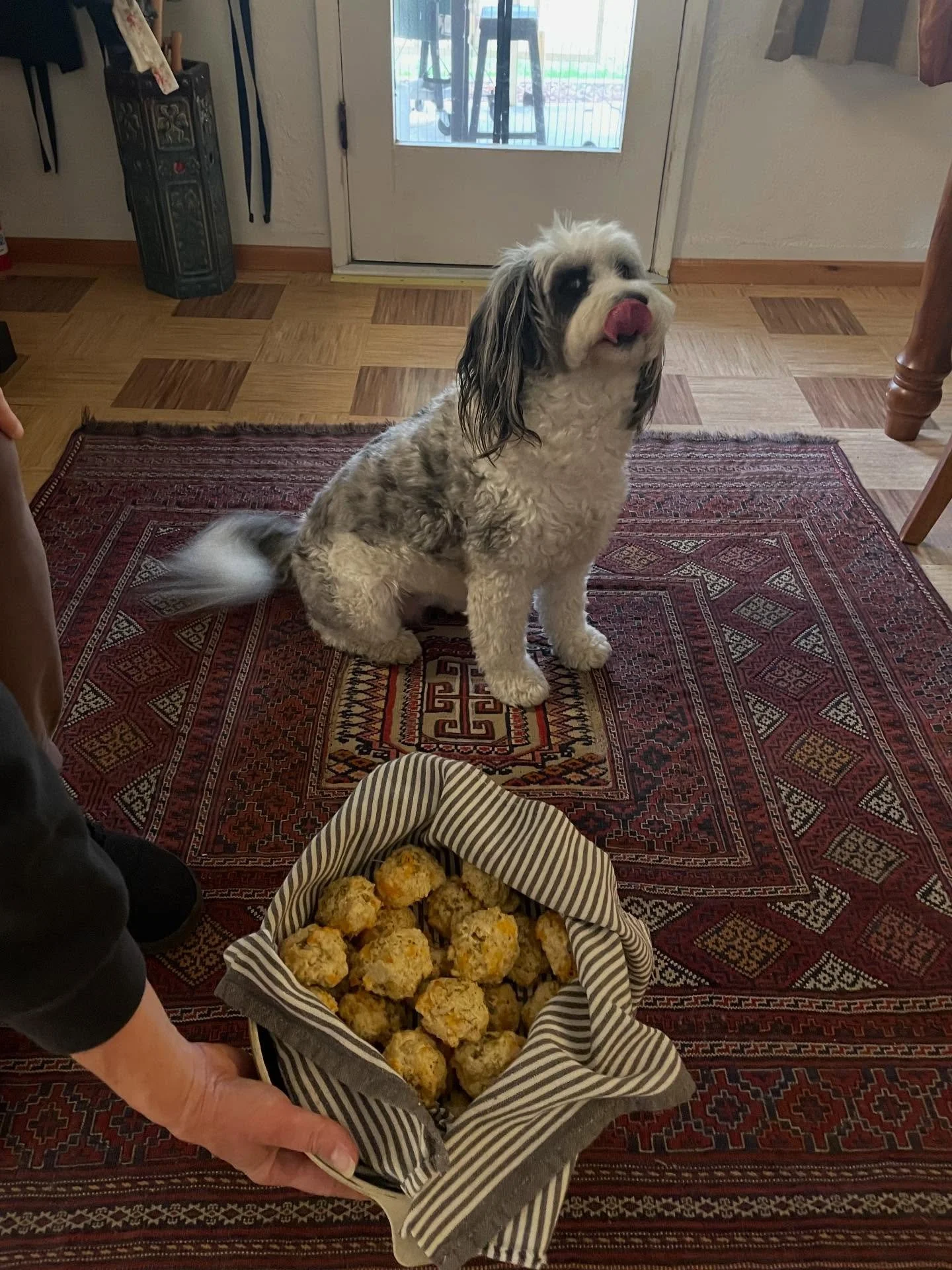 Well it&rsquo;s finally happening! Fresh savory cheddar bay biscuits courtesy of Kat and @farm.and.flour available at the shop today. 

Come through grab a biscuit and celebrate 8 years of Biscuits &amp; Vinyl! 10% off store wide sale going too! Lots