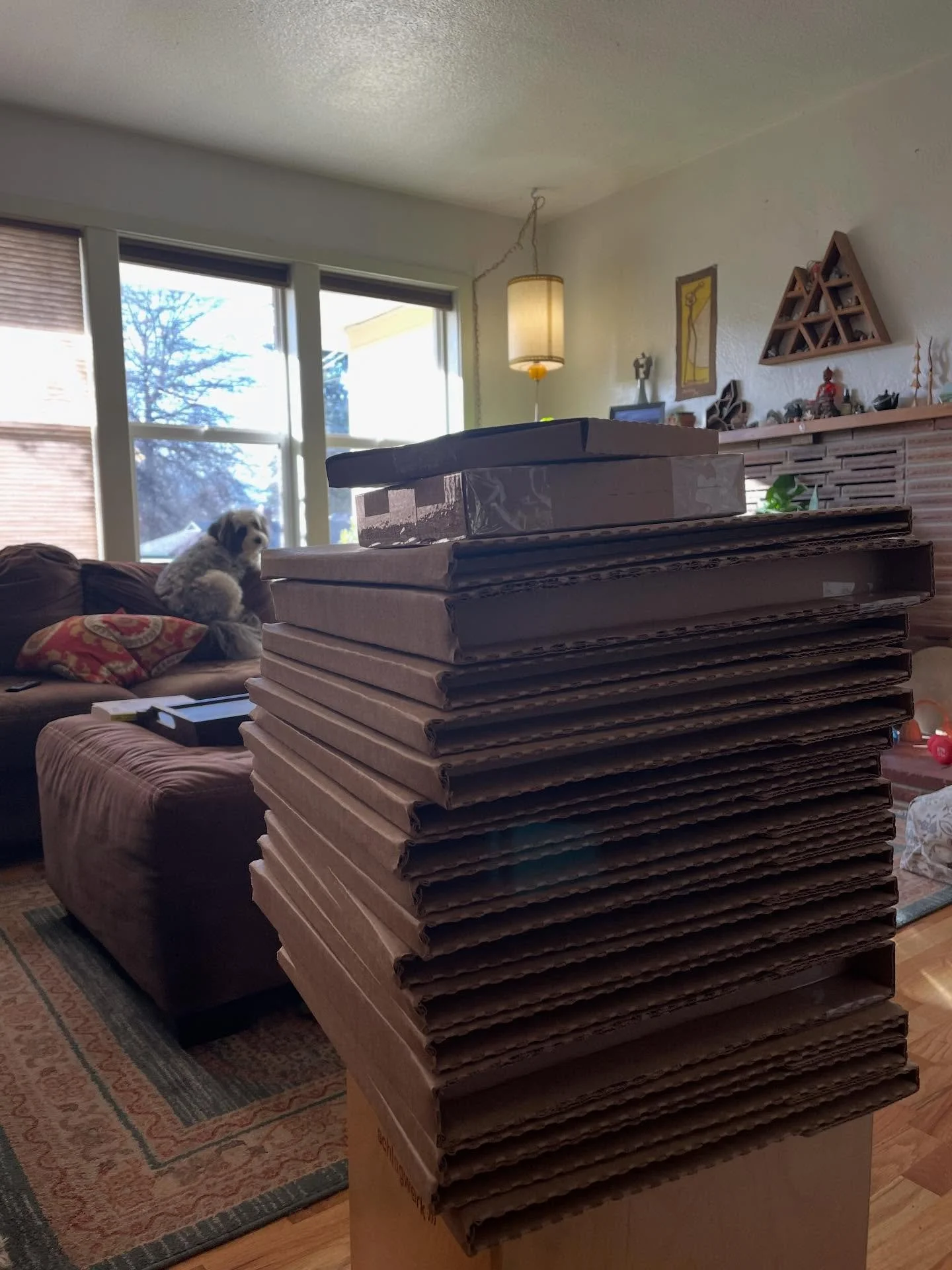 CYBER MONDAY FREE SHIPPING SALE! 

Today only! Offering free domestic shipping on all discogs and eBay orders. Shop online at www.biscuitsandvinyl.com

#supportyourlocalrecordstore #vinylcommunity #recordsforsale