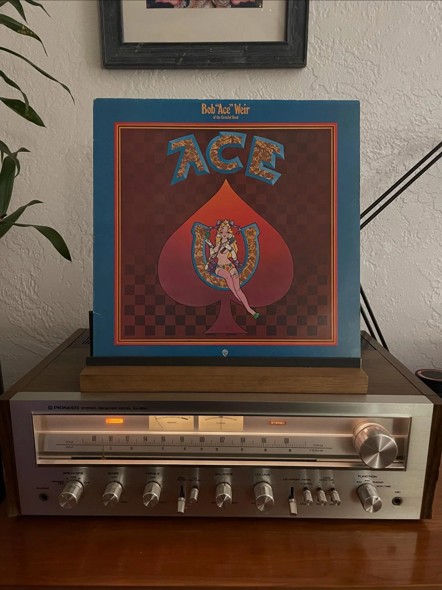 RIP Bob Weir
Thanks for the jams 
😔❤️🎶🎸💀🌹

#nowspinning #bobweir #ace