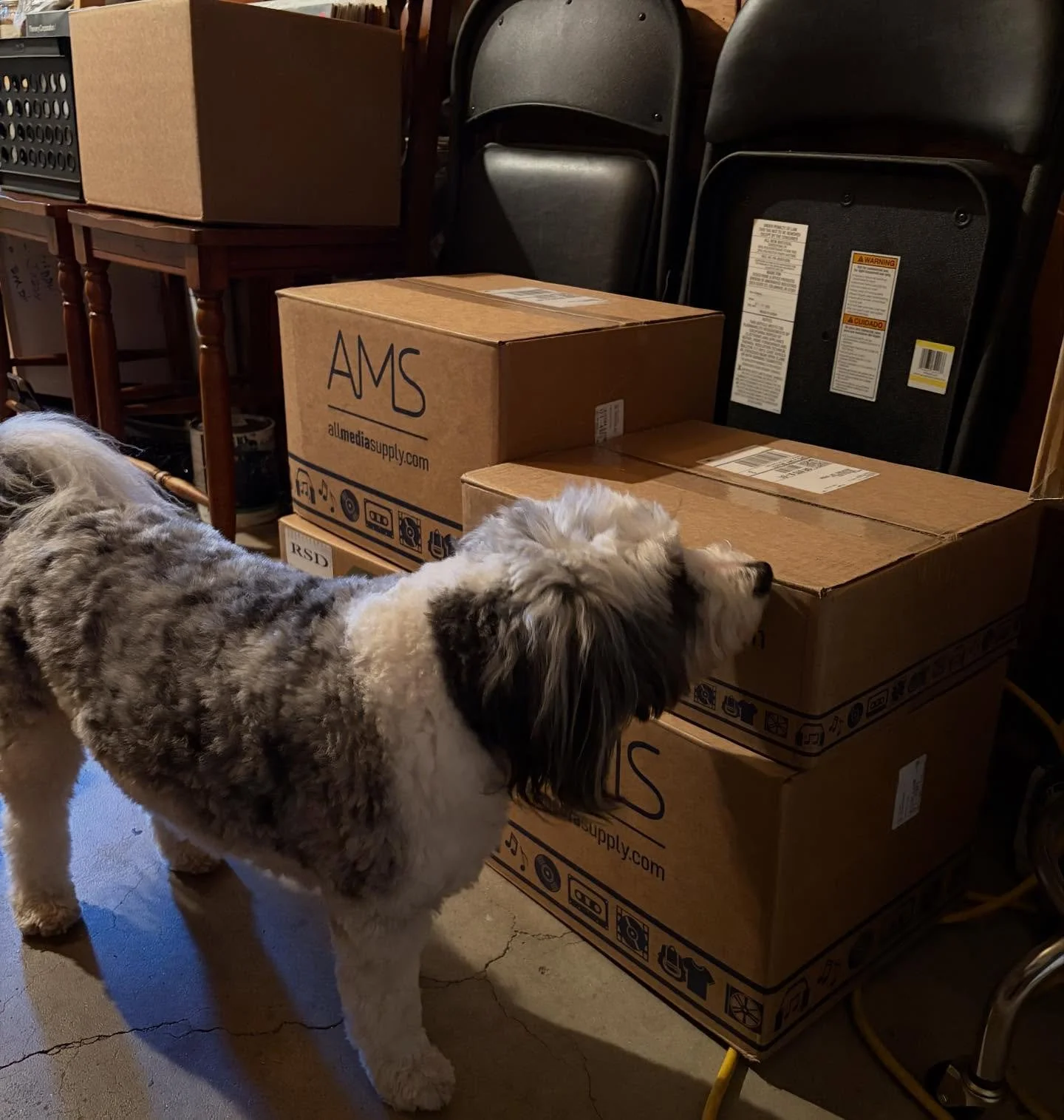 A big batch of RSD exclusives arrived today and, upon inspection, passed the sniff test and are good to go!

Shop will be opening at 10:30 for Record Store Day 2026 on Saturday April 18. Be there!

#supportyourlocalrecordstore #rsd2026 #medfordoregon