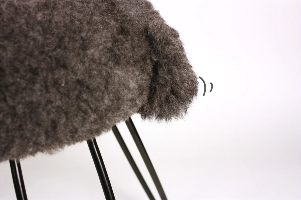 baa tail_1200px.jpg