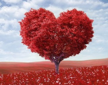It’s fun to be in love!