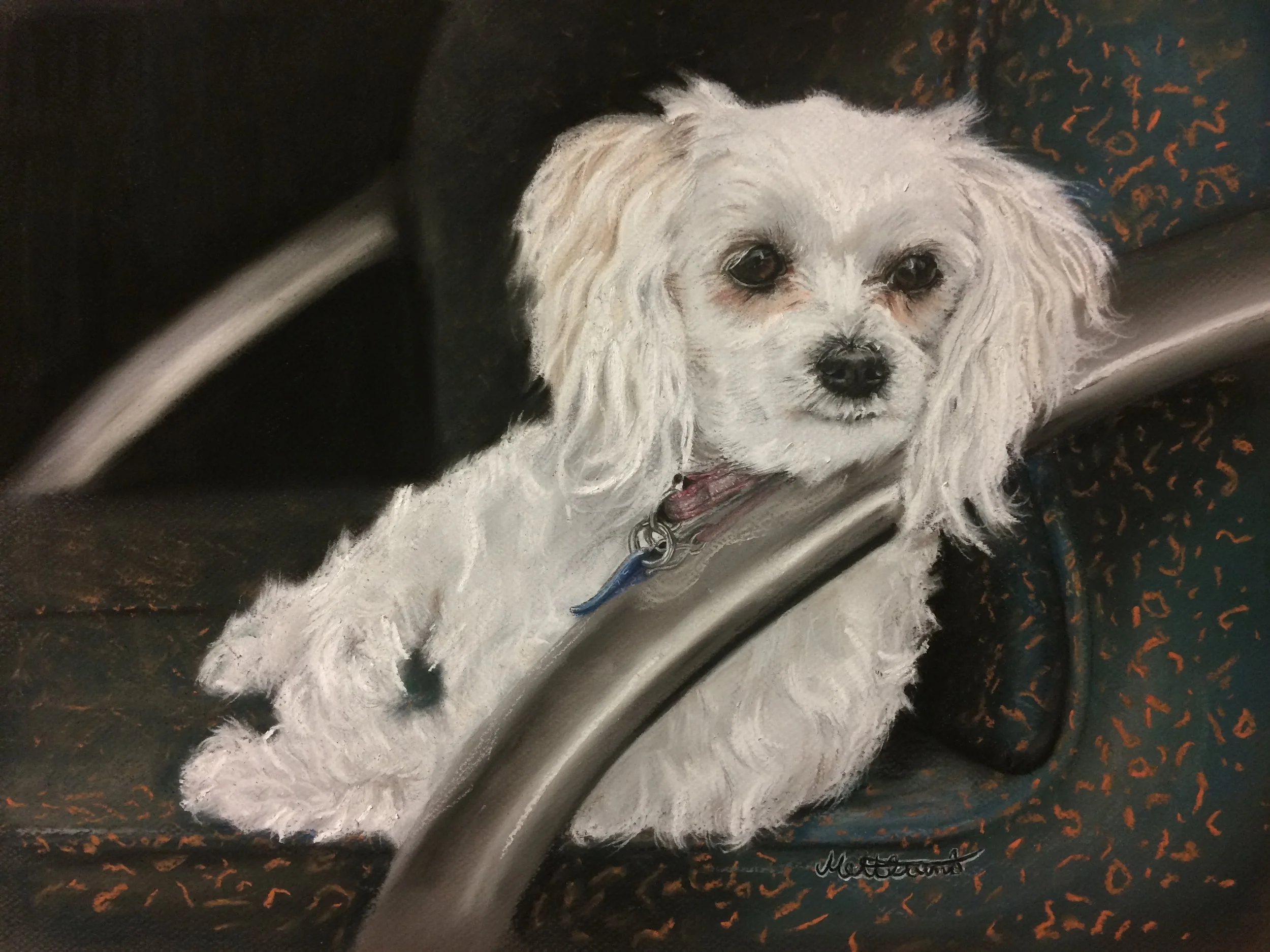    Bailey   Chalk pastel on paper 