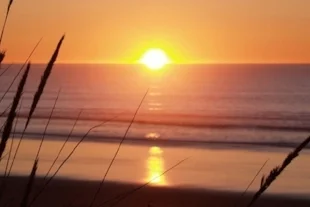 Waikuku Beach Holiday Park