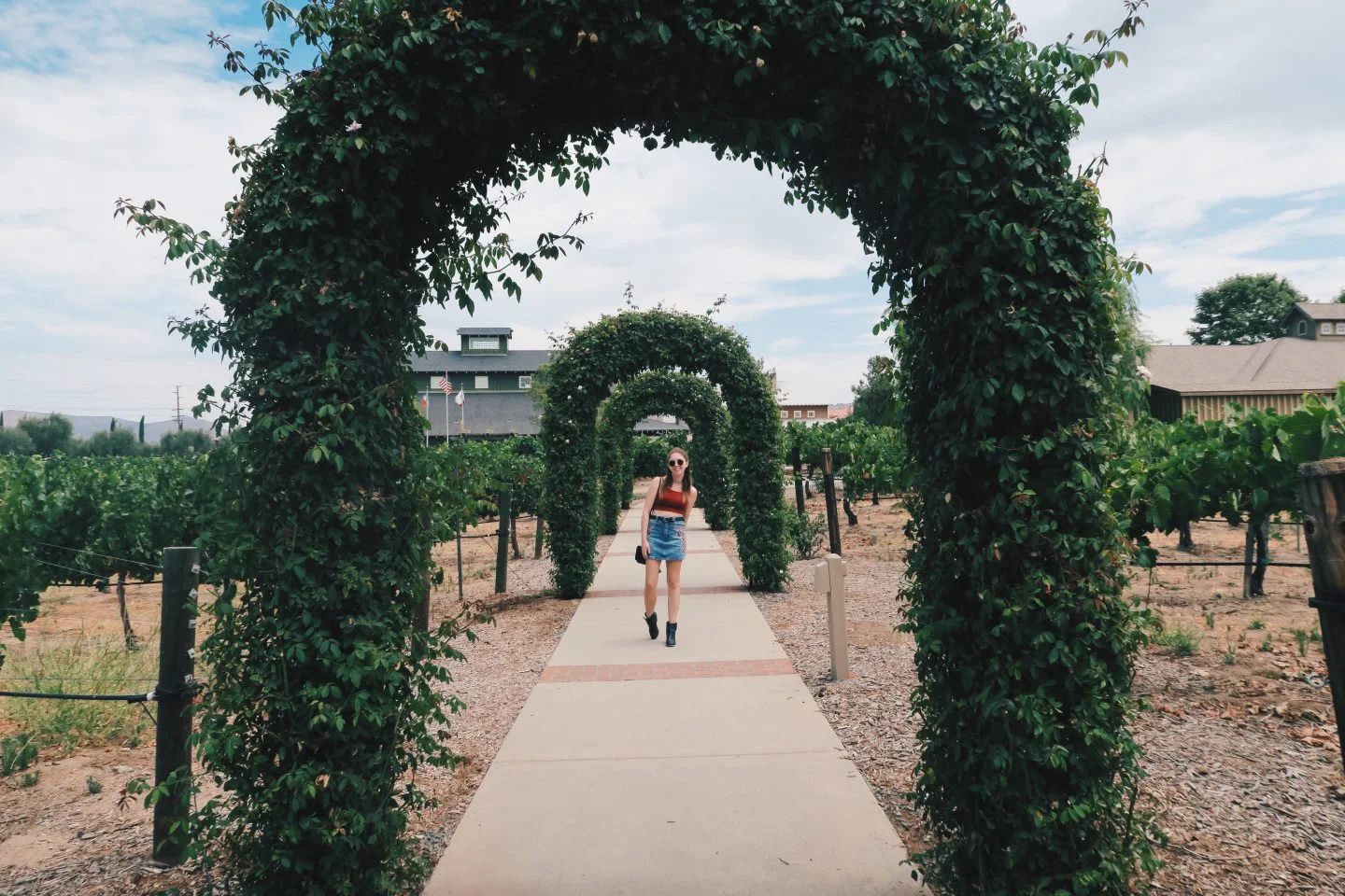 Wine Tasting in Temecula